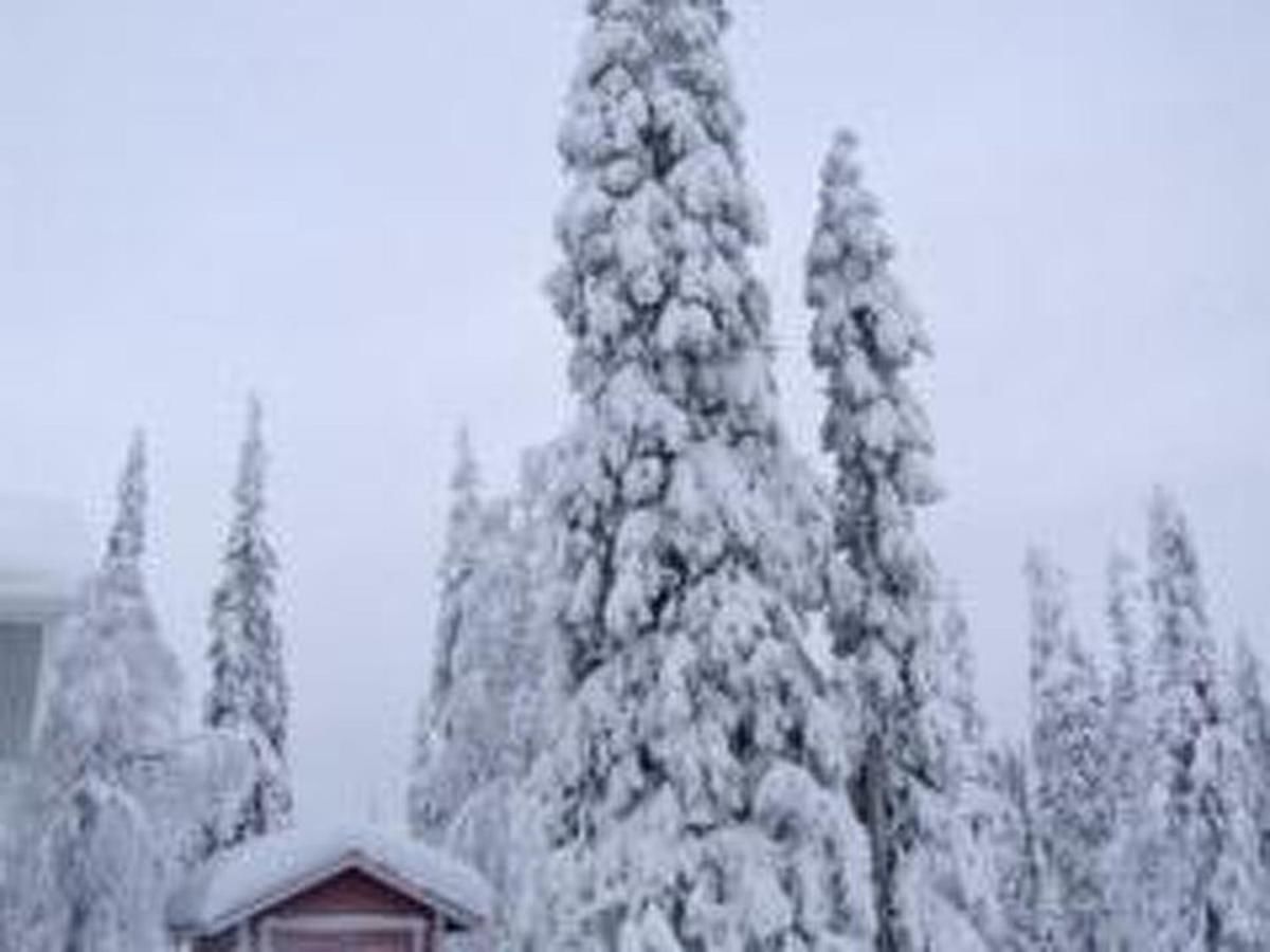 Дома для отпуска Holiday Home Ruka snow & sun 3 Рука