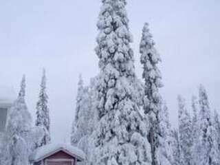 Дома для отпуска Holiday Home Ruka snow & sun 3 Рука Дом для отпуска-26