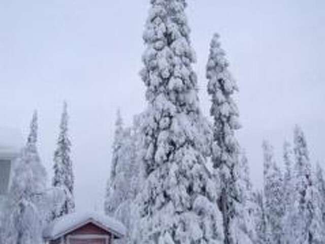 Дома для отпуска Holiday Home Ruka snow & sun 3 Рука-45
